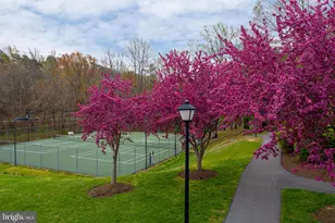 7317 S View Ct, Fairfax Station, VA 22039 - Photo 77