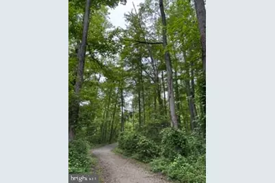 7753 Belvale Drive, Alexandria, VA 22315 - Photo 49