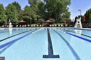 7004 Irwell Ln, Alexandria, VA 22315 - Photo 15