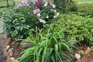 9101 Blue Jug Landing, Burke, VA 22015 - Photo 49