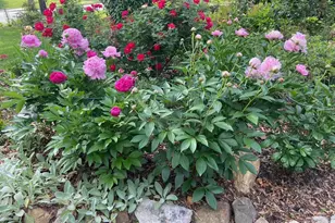 9101 Blue Jug Landing, Burke, VA 22015 - Photo 51