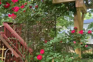 9101 Blue Jug Landing, Burke, VA 22015 - Photo 53