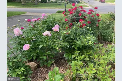 9101 Blue Jug Landing, Burke, VA 22015 - Photo 3