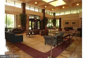 3709 George Mason Dr S, Falls Church, VA 22041 - Photo 17