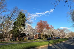 8523 Lakinhurst Ln, Springfield, VA 22152 - Photo 75