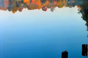 5482 Midship Ct, Burke, VA 22015 - Photo 43