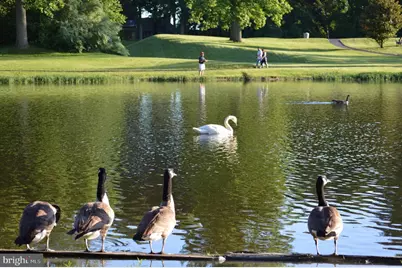 5482 Midship Court, Burke, VA 22015 - Photo 47