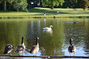 5482 Midship Ct, Burke, VA 22015 - Photo 47