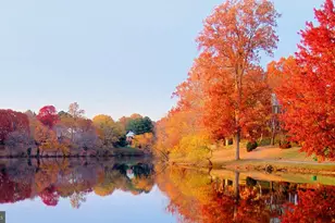 5482 Midship Ct, Burke, VA 22015 - Photo 41