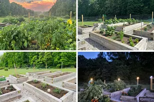 7427 Maple Branch Rd, Clifton, VA 20124 - Photo 17