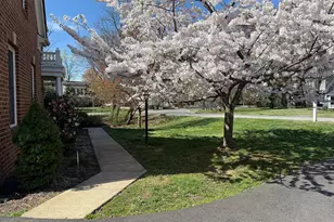 7119 Coventry Rd, Alexandria, VA 22306 - Photo 57