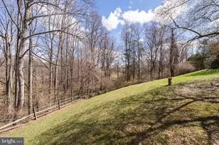 9508 Brian Jac Ln, Great Falls, VA 22066 - Photo 47