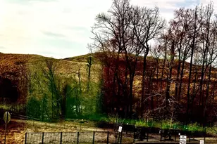 6107 Fairview Farm Dr, Alexandria, VA 22315 - Photo 29