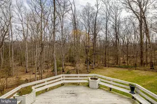 8620 Polk St, McLean, VA 22102 - Photo 25