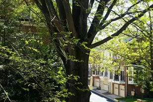 1632 Colonial Hills Dr, McLean, VA 22102 - Photo 33