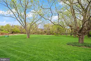 813 Lunenburg Rd, Great Falls, VA 22066 - Photo 87