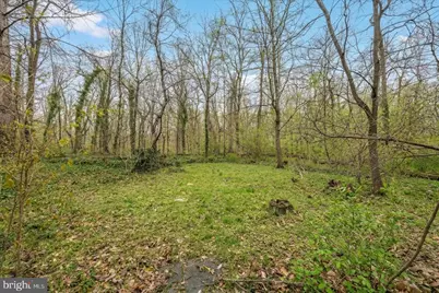 7009 Quander Road, Alexandria, VA 22307 - Photo 51