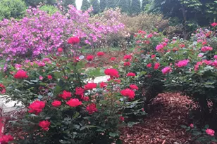 9720 Five Oaks Rd, Fairfax, VA 22031 - Photo 73