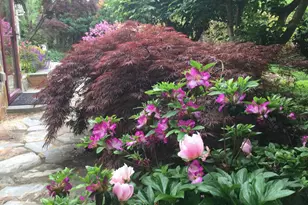 9720 Five Oaks Rd, Fairfax, VA 22031 - Photo 63