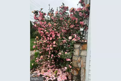 9720 Five Oaks Road, Fairfax, VA 22031 - Photo 59