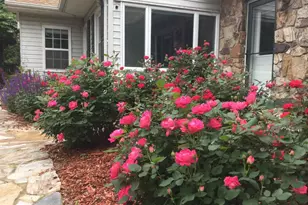 9720 Five Oaks Rd, Fairfax, VA 22031 - Photo 71