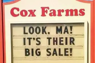 4357 Cub Run Rd, Chantilly, VA 20151 - Photo 37