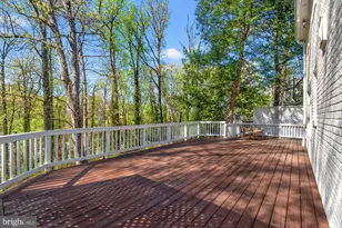 6032 Grove Dr, Alexandria, VA 22307 - Photo 23