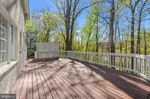 6032 Grove Dr, Alexandria, VA 22307 - Photo 25