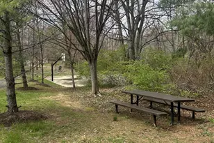 9183 Topaz St, Fairfax, VA 22031 - Photo 67