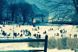 1505 Snughill Ct, Vienna, VA 22182 - Photo 35