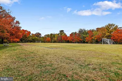 3701 S George Mason Drive #1604N, Falls Church, VA 22041 - Photo 37