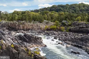 532 Walker Rd, Great Falls, VA 22066 - Photo 105