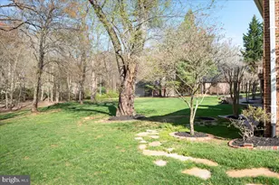 532 Walker Rd, Great Falls, VA 22066 - Photo 81