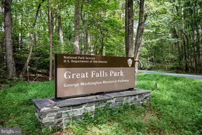 532 Walker Rd, Great Falls, VA 22066 - Photo 99