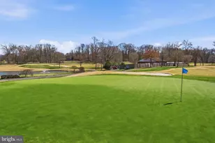 8806 Black Alder Dr, Alexandria, VA 22309 - Photo 59