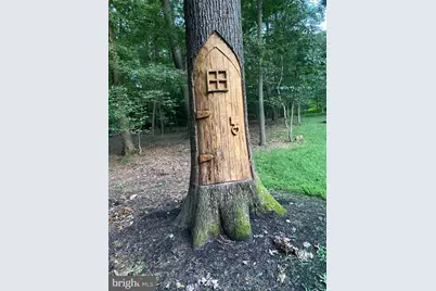 9217 Jeffery Road, Great Falls, VA 22066 - Photo 79