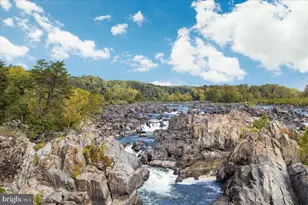 408 Woodgrove Ct, Herndon, VA 20170 - Photo 75