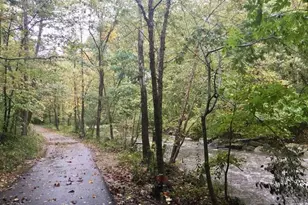 7728 Hickory Glen Way, Springfield, VA 22153 - Photo 35