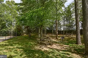 9259 Cardinal Forest Ln, Lorton, VA 22079 - Photo 25