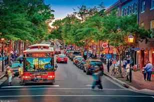 6311 Golf Course Square, Alexandria, VA 22307 - Photo 13