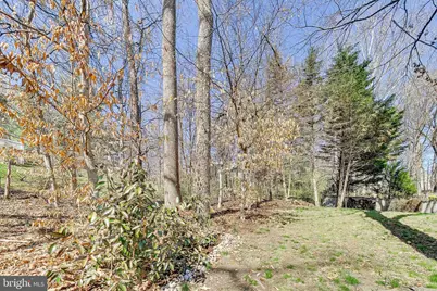 8404 Chillum Court, Springfield, VA 22153 - Photo 55