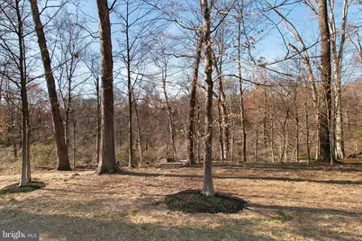 2308 William and Mary Drive, Alexandria, VA 22308 - Photo 33