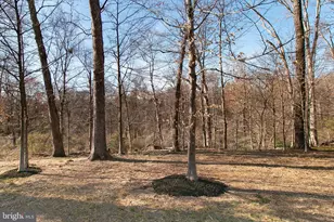 2308 William and Mary Dr, Alexandria, VA 22308 - Photo 33