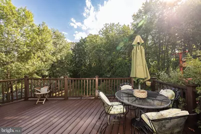 7826 Desiree Street, Alexandria, VA 22315 - Photo 29