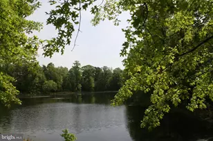 7826 Desiree St, Alexandria, VA 22315 - Photo 63