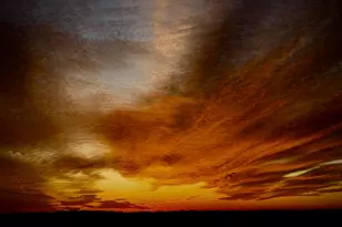 5901 Mt Eagle Dr, Alexandria, VA 22303 - Photo 9