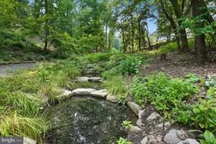 5901 Mt Eagle Dr, Alexandria, VA 22303 - Photo 81