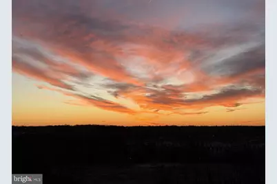 5901 Mount Eagle Drive #1105, Alexandria, VA 22303 - Photo 9