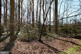 12415 Caisson Rd, Fairfax, VA 22030 - Photo 35