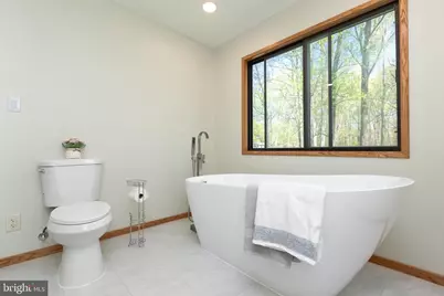 513 Springvale Road, Great Falls, VA 22066 - Photo 45